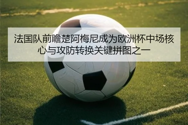 法国队前瞻楚阿梅尼成为欧洲杯中场核心与攻防转换关键拼图之一